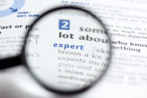 Dictionary definition of the word expert